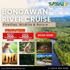 Down-payment Fireflies River Cruise