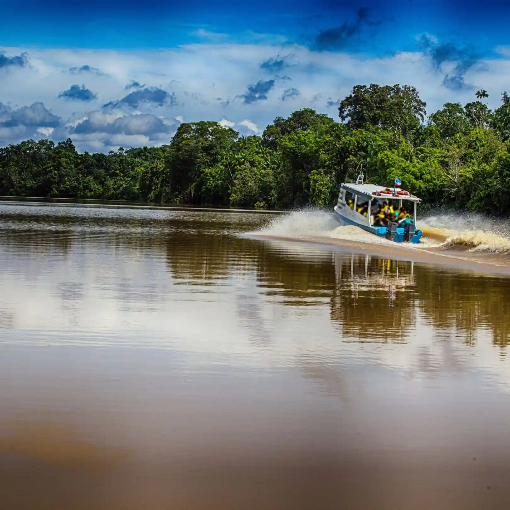 Bongawan River Cruise Scenery